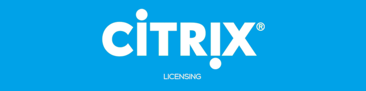 Getting Citrix licensings statistics